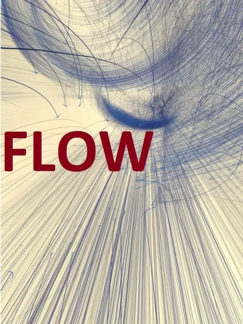  Flow (2019)