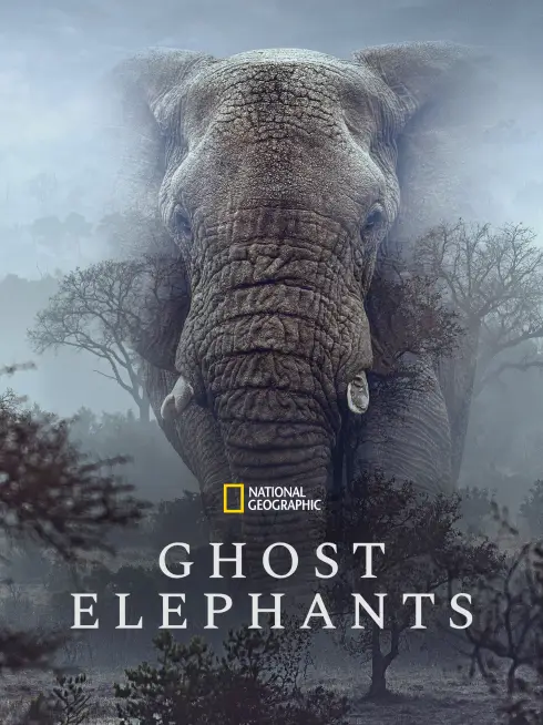 Ghost Elephants