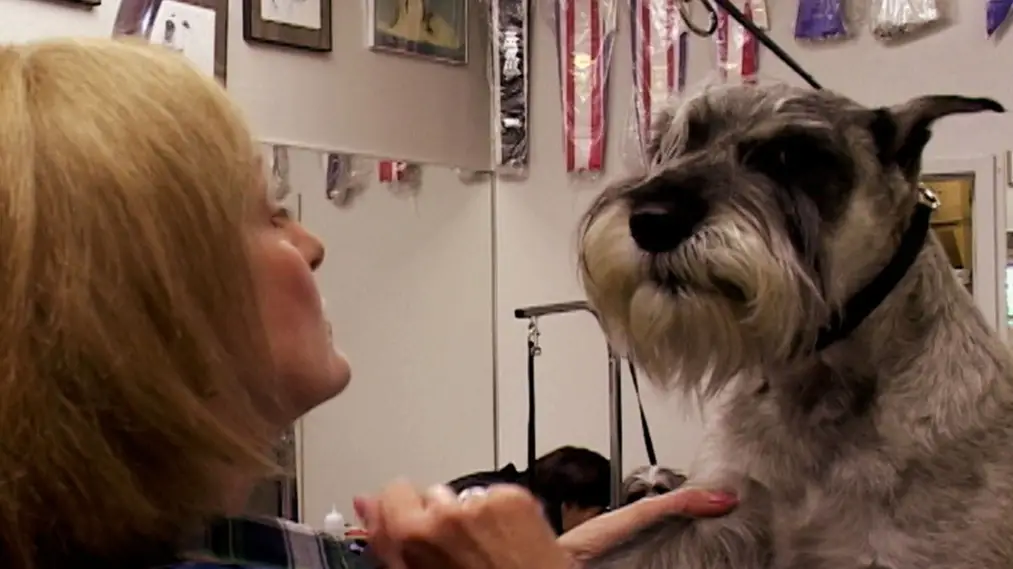 Phim Going to the Dogs - Going to the Dogs (2003)