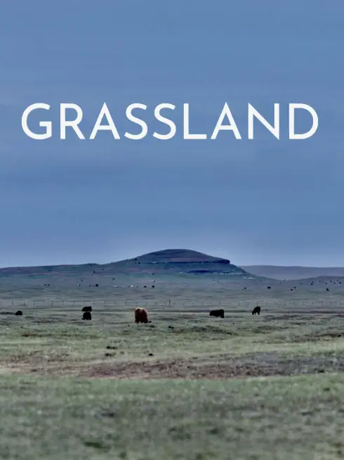 Grassland