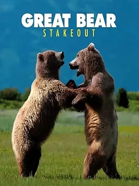  Great Bear Stakeout (2013)
