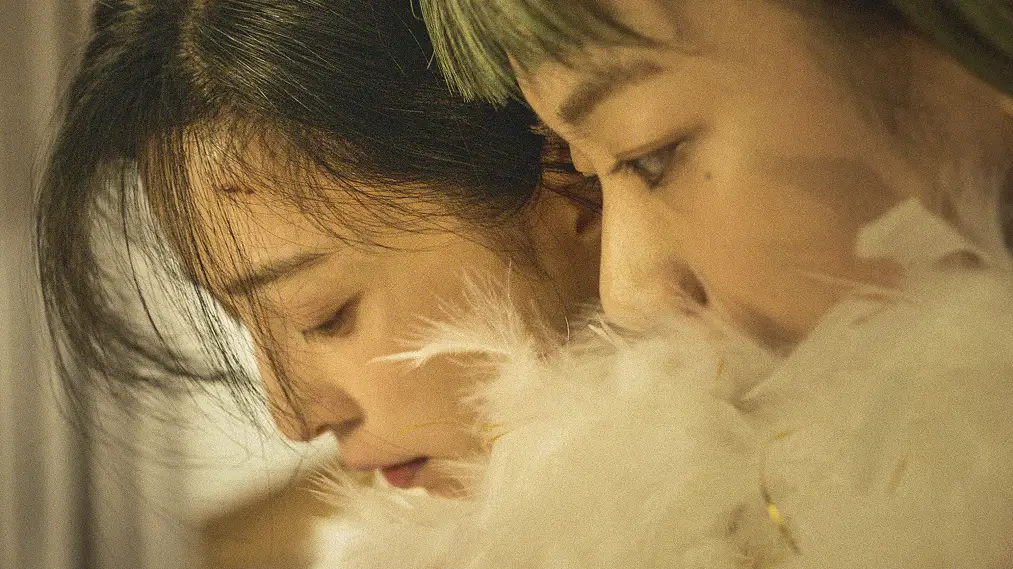 Phim Green Night - 绿夜 (2023)