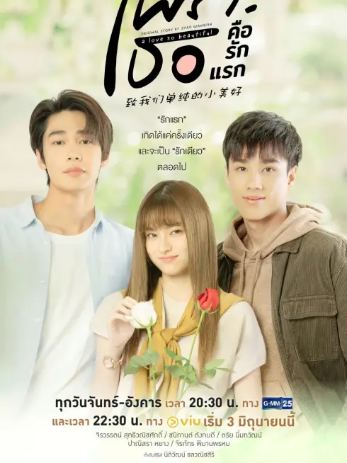 Phim Gửi Thời Thanh Xuân Ngây Thơ Tươi Đẹp (Bản Thái) - A Love So Beautiful (Thailand) (2024)