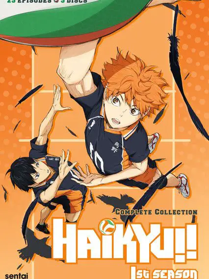 Phim Haikyu - Chàng khổng lồ tí hon (Phần 1) - Haikyu!! (Season 1) (2015)