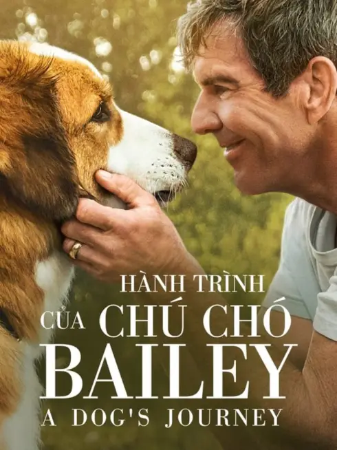 Hành Trình Của Chú Chó Bailey