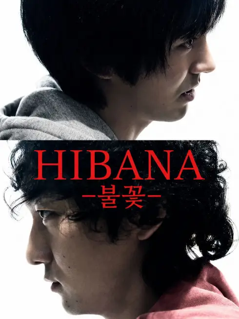 Hibana: Spark