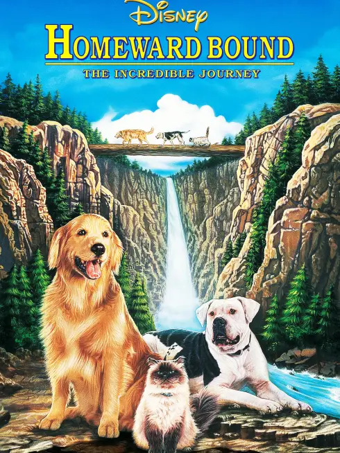 Phim Hướng Về Nhà: Hành Trình Phi Thường - Homeward Bound: The Incredible Journey (1993)