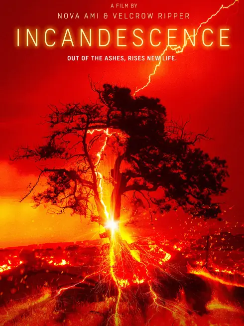 Incandescence