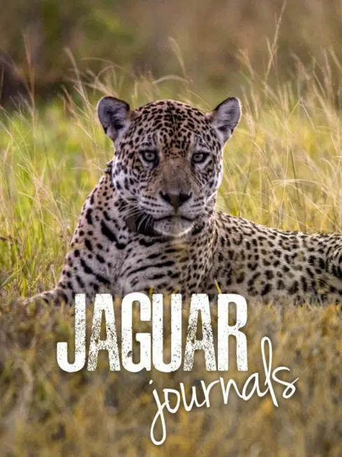Jaguar Journals
