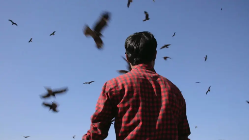 Phim Junun - Junun (2015)