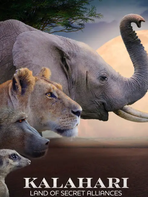 Kalahari: Land of Secret Alliances