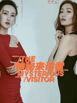 Phim Khách bí ẩn - Mysterious visitor (2017)