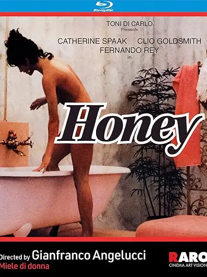 Phim Khách Sạn Dục Vọng - Honey (1981)