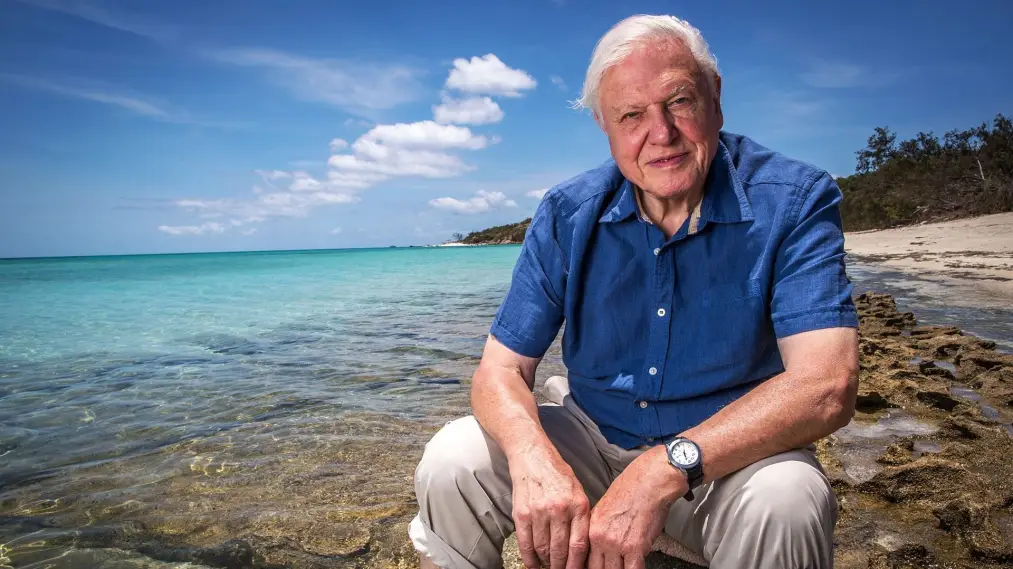 Khám Phá Rạn San Hô Great Barrier cùng David Attenborough