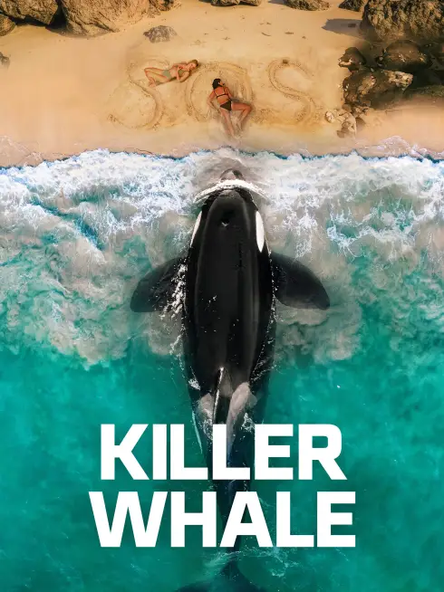  Killer Whale (2026)