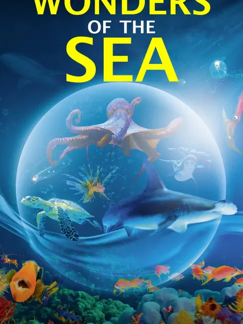 Phim Kỳ Quan Của Đại Dương - Wonders of the Sea 3D (2017)