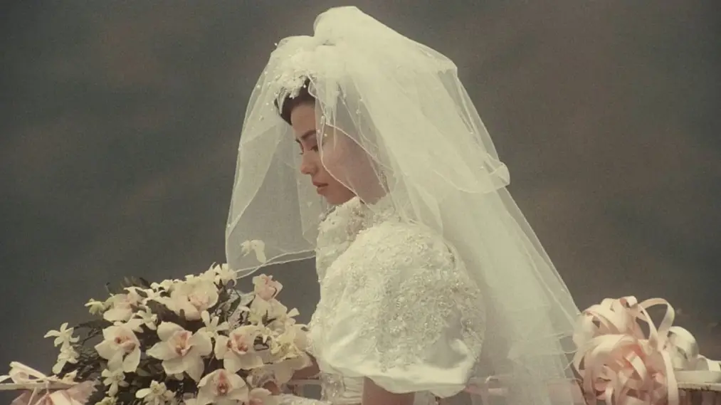 Lưu Kim Tuế Nguyệt (1988)