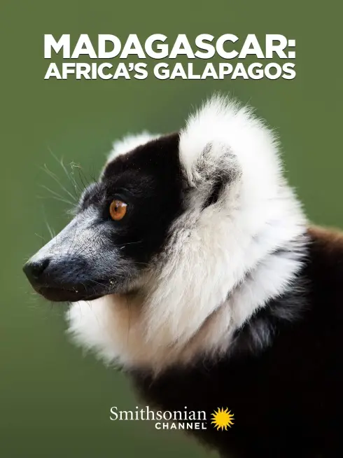 Phim Madagascar: Africa's Galapagos - Madagascar: Africa's Galapagos (2019)