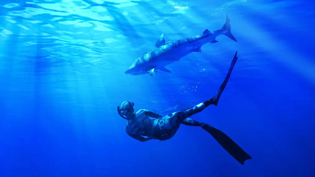 Phim Maui Shark Mystery - Maui Shark Mystery (2022)