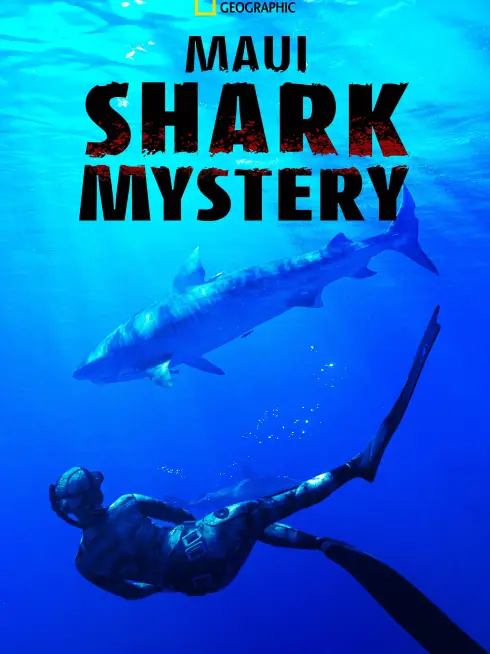 Maui Shark Mystery
