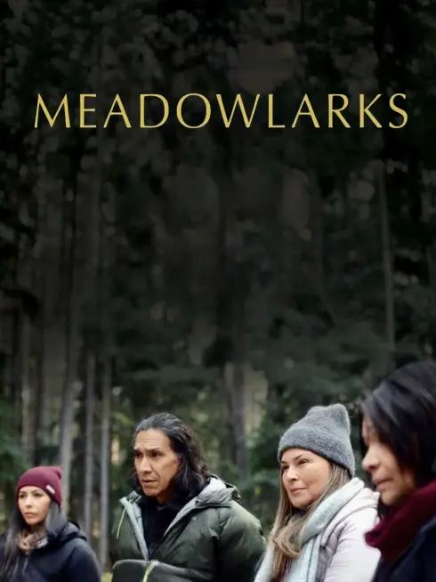 Meadowlarks