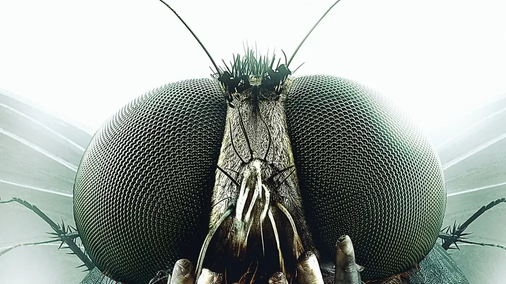 Phim Metamorphosis - Metamorphosis (2012)