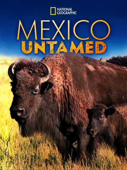  Mexico Untamed (2018)