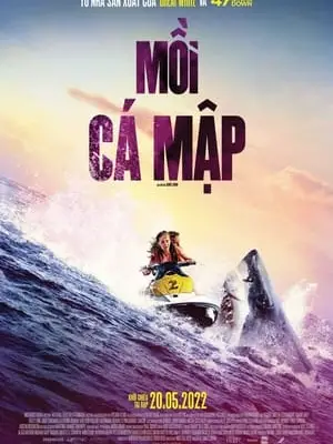 Mồi Cá Mập