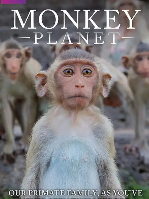 Monkey Planet