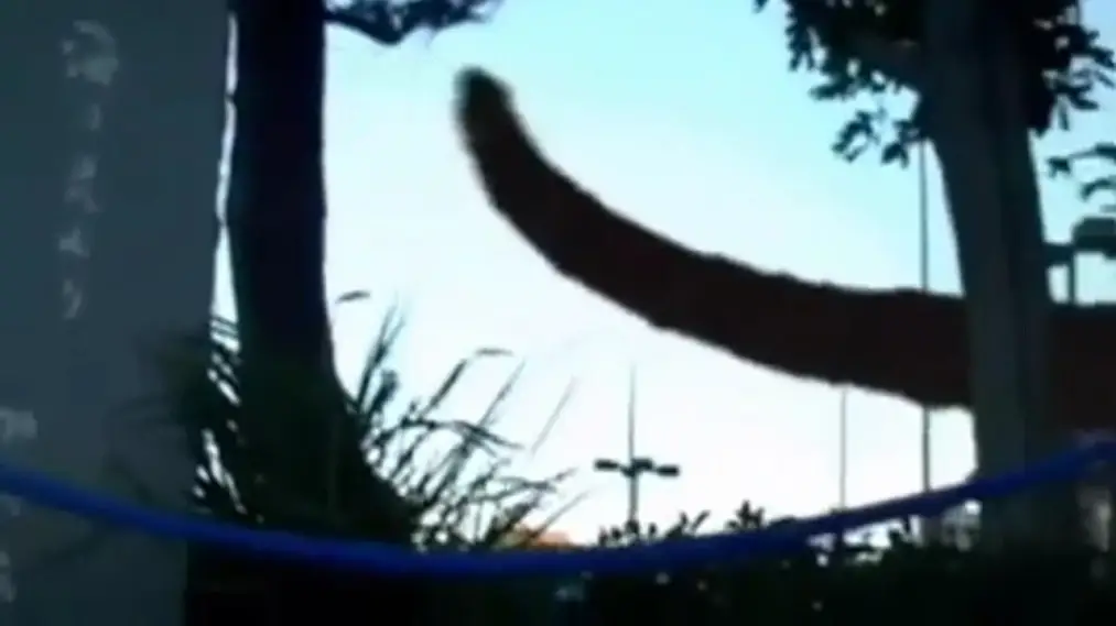 Phim Monster - Monster (2008)