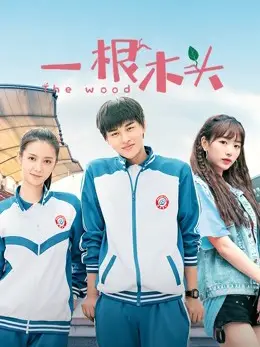 Phim Một Khúc Gỗ Mùa 1 - c (2020)