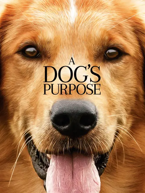 Phim Mục Đích Sống Của Một Chú Chó - A Dog's Purpose (2017)