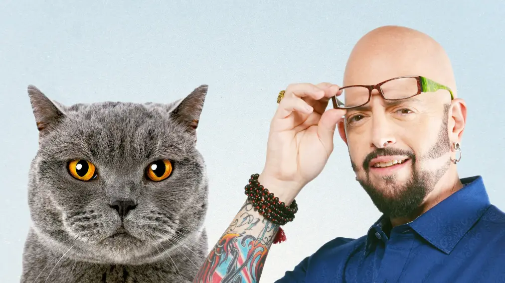 Phim My Cat from Hell - My Cat from Hell (2011)