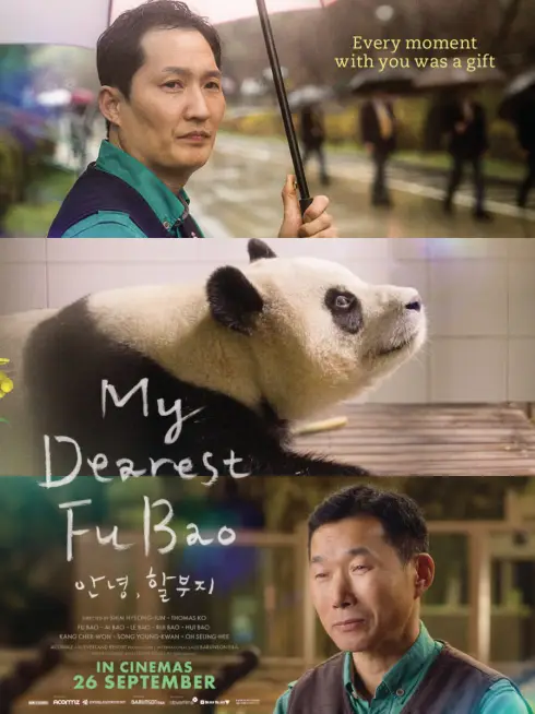 Fu Bao: Bảo Bối Của Ông