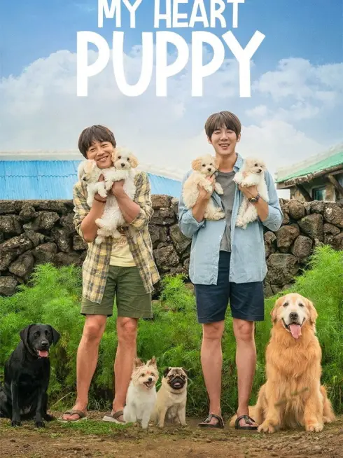 My Heart Puppy