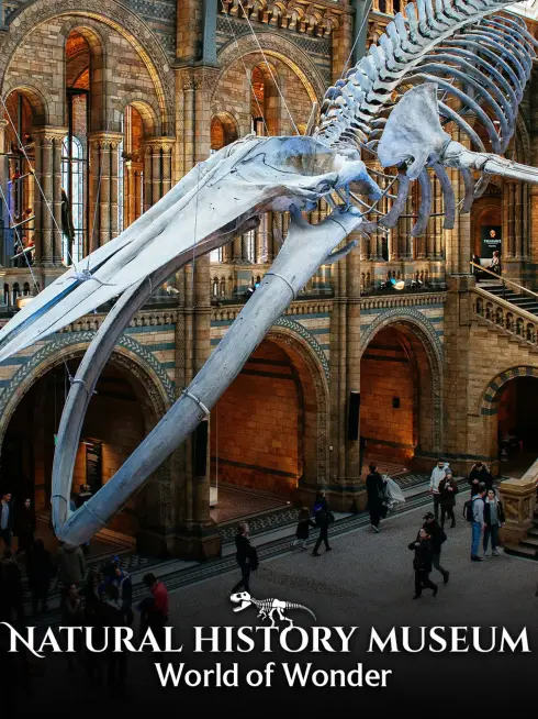 Natural History Museum: World of Wonder
