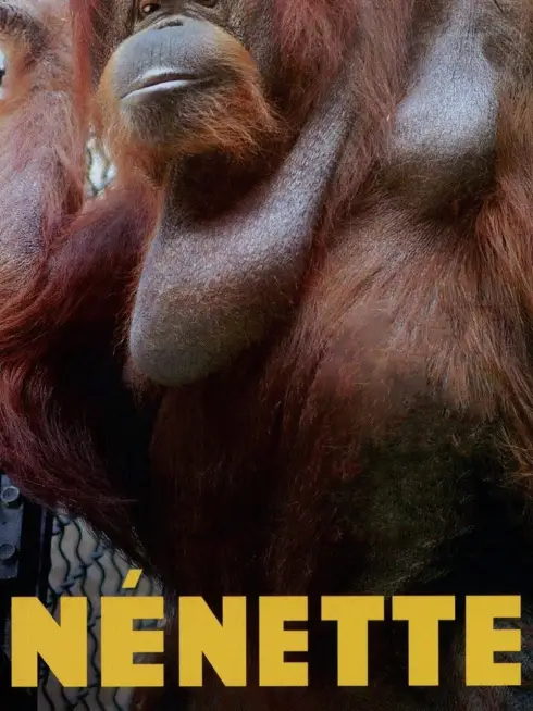  Nénette (2010)