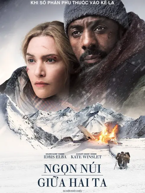 Phim Ngọn Núi Giữa Hai Ta - The Mountain Between Us (2017)