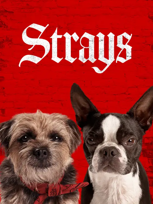 Phim Những Chú Chó Bụi Đời - Strays (2023)