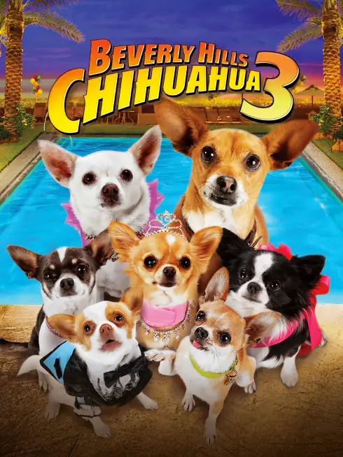Phim Những Chú Chó Chihuahua 3 - Beverly Hills Chihuahua 3: Viva la Fiesta! (2012)