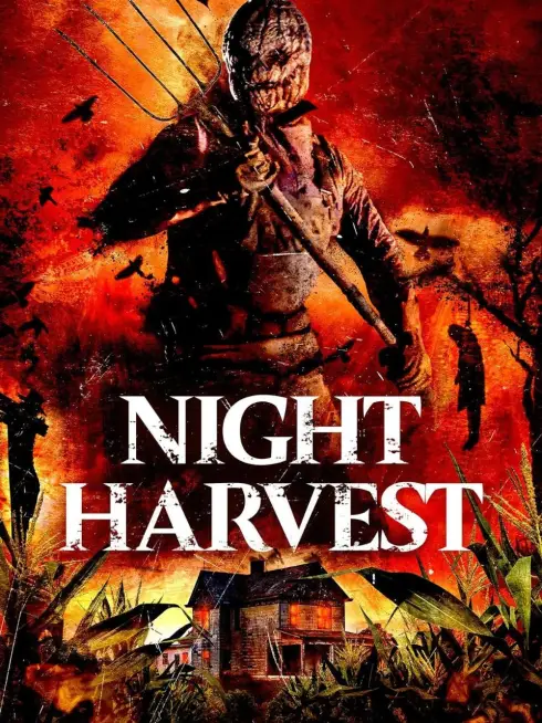 Night Harvest
