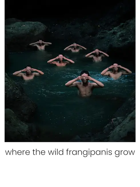 Phim Nơi hoa sứ dại mọc - Where the Wild Frangipanis Grow (2023)