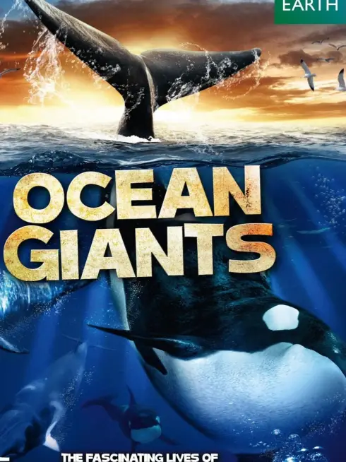 Phim Ocean Giants - Ocean Giants (2011)