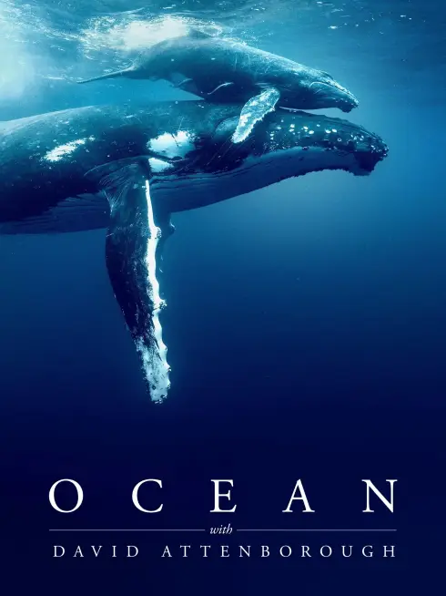 Phim Ocean with David Attenborough - Ocean with David Attenborough (2025)