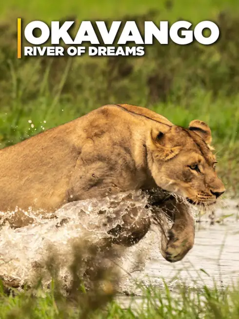 Okavango: River of Dreams