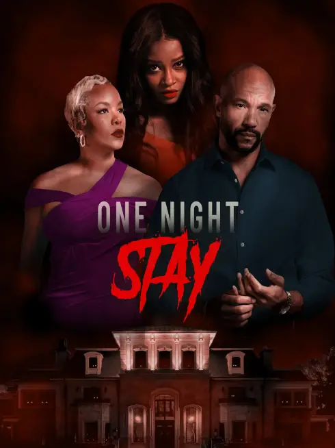  One Night Stay (2024)