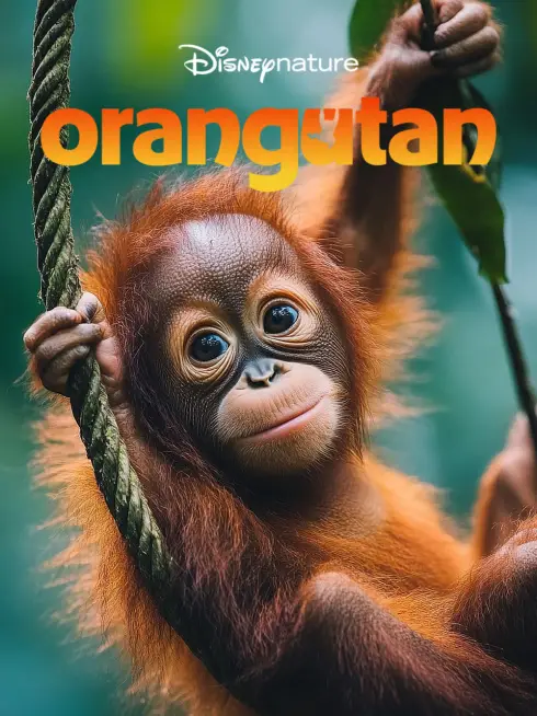 Phim Orangutan - Orangutan (2026)