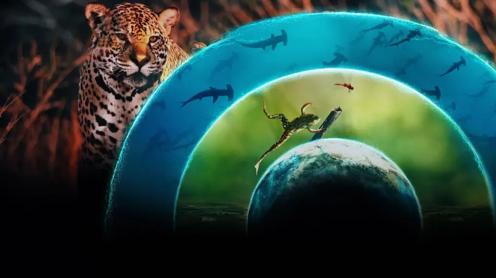 Phim Our Living World - Our Living World (2024)