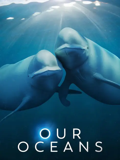 Our Oceans