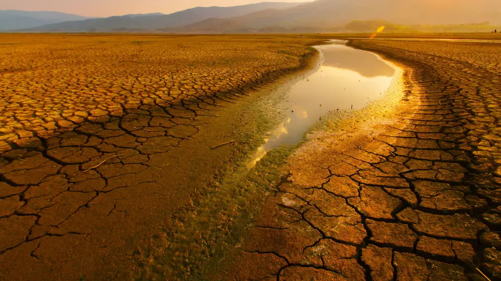 Phim Parched - Parched (2017)
